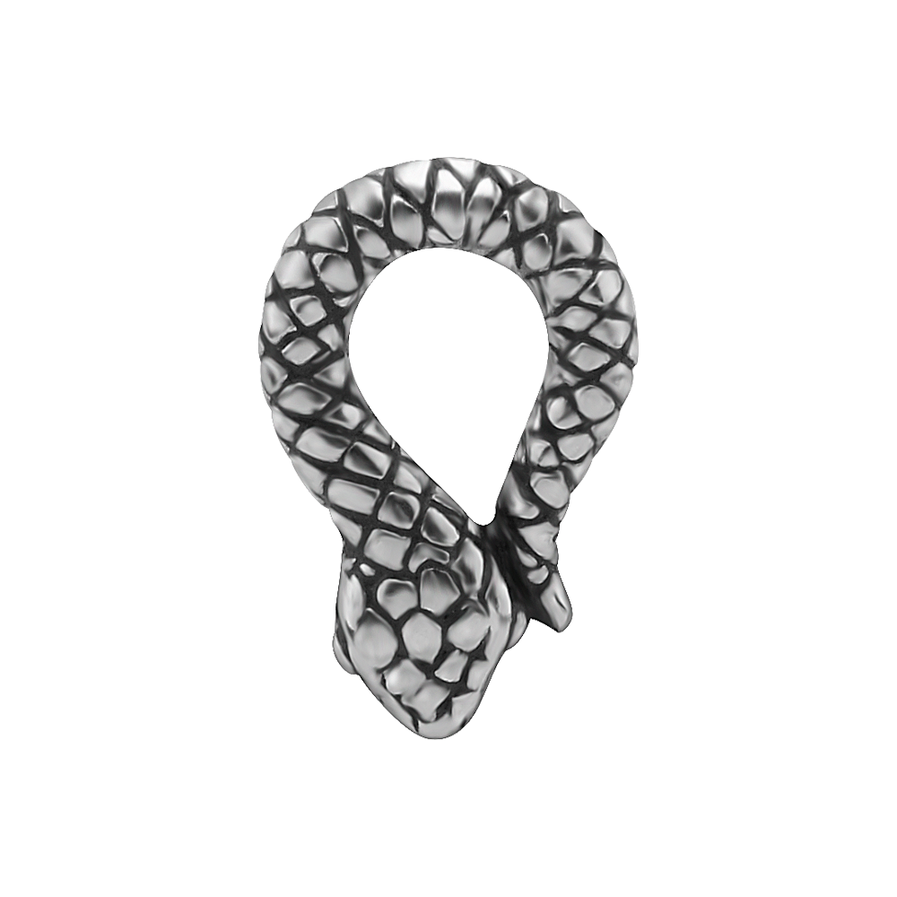 Snake Charm Queen Of Steel