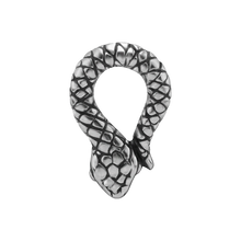 Load image into Gallery viewer, Snake Charm