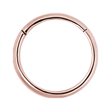 Load image into Gallery viewer, Hinged Segment Ring