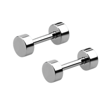 Load image into Gallery viewer, Pair of steel fake plugs with 4mm discs
