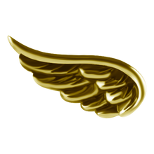 Load image into Gallery viewer, A glossy gold angel wing attachment  shown on a plain white background.
