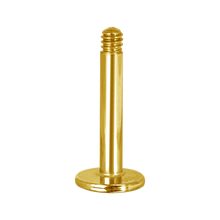Load image into Gallery viewer, 24k Gold PVD micro labret pin

