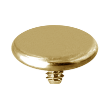 Load image into Gallery viewer, 24k PVD titanium plain flat disc dermal attachment 4mm
