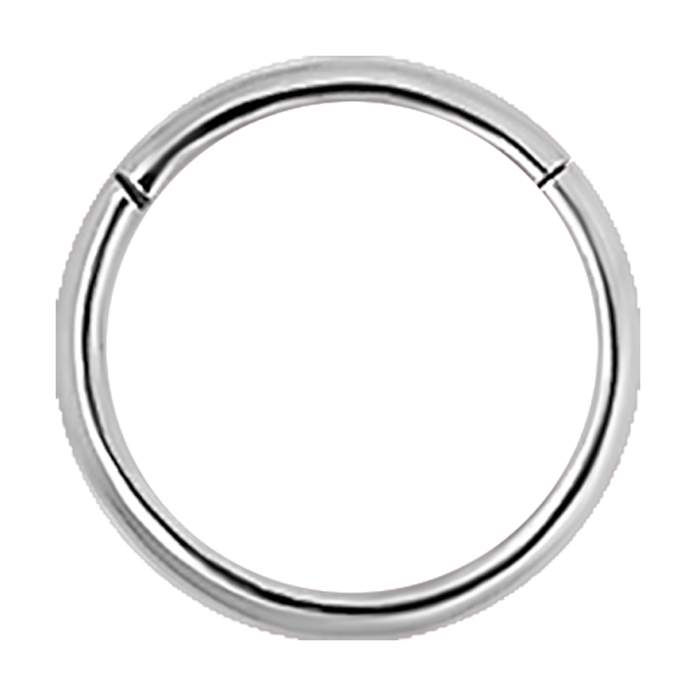 Big Gauge Hinged Segment Ring