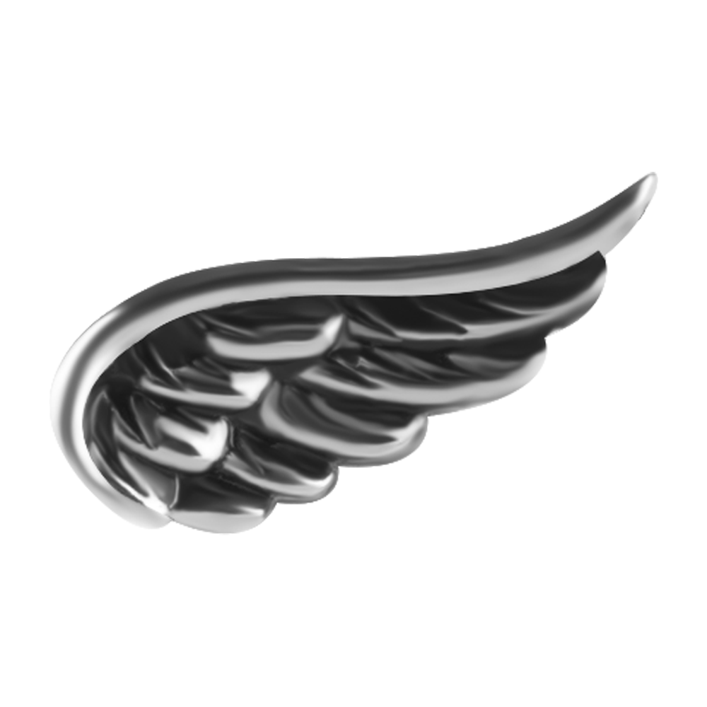 Nickel-free cobalt-chrome wing internally threaded attachment for the left ear