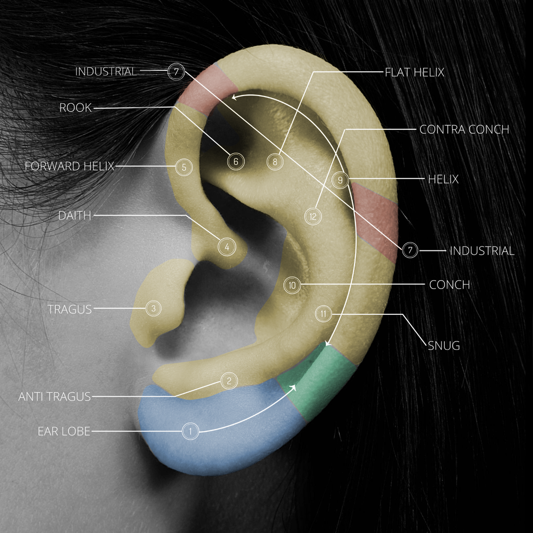 Piercing Aftercare Queen Of Steel piercing-aftercare-queen-of-steel