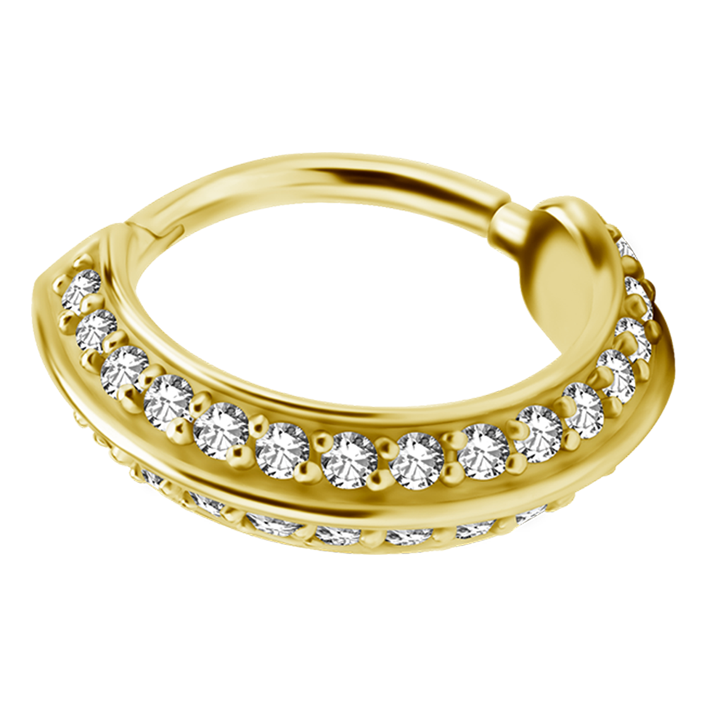 Slanted Double Row Hinged Ring