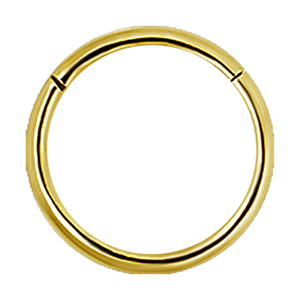 24K Gold PVD Hinged Segment Ring